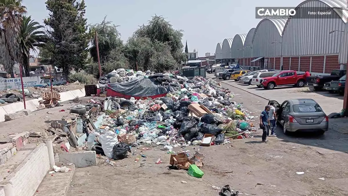 Mercado de Huejotzingo se convierte en el nuevo basurero del municipio (VIDEO)