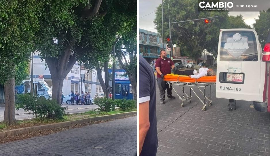 ¡Iba con su nieto! Cafre se lleva de corbata a abuelita en el Paseo Bravo