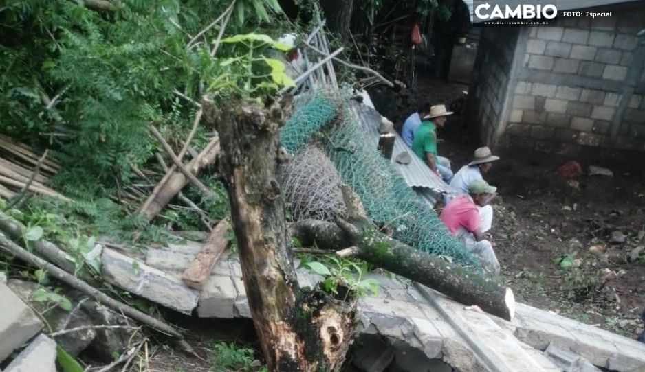 ¡De infarto! Colapsa barda de casa en Coxcatlán por fuertes lluvias
