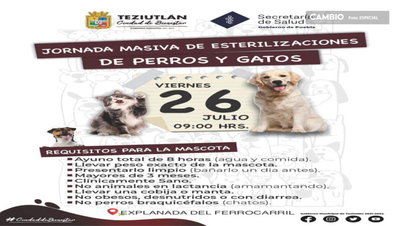 Comienza jornada masiva de esterilizaciones de mascotas en Teziutlán