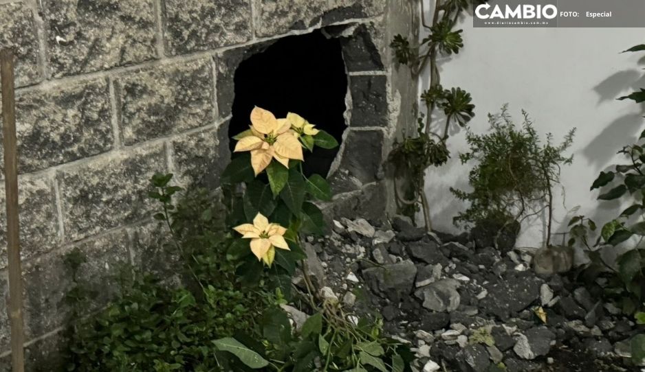 ¡Con un boquete en la pared! Así comando armado ingresó a casa para robar en Cholula
