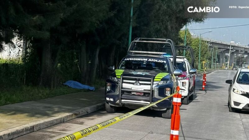 Encuentran cadáver en inmediaciones del parque industrial Resurrección