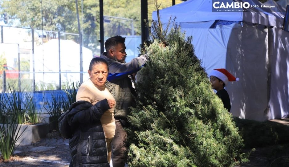 ¡Llegó la navidad! Comerciantes del CENHCH instalan puestos de adornos navideños (FOTOS)