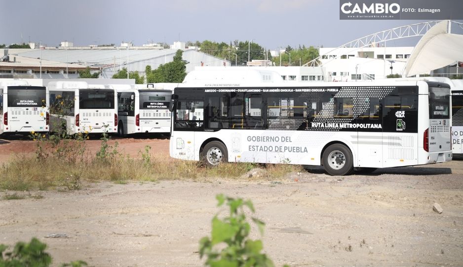 Estas son las unidades de la línea 4 del RUTA