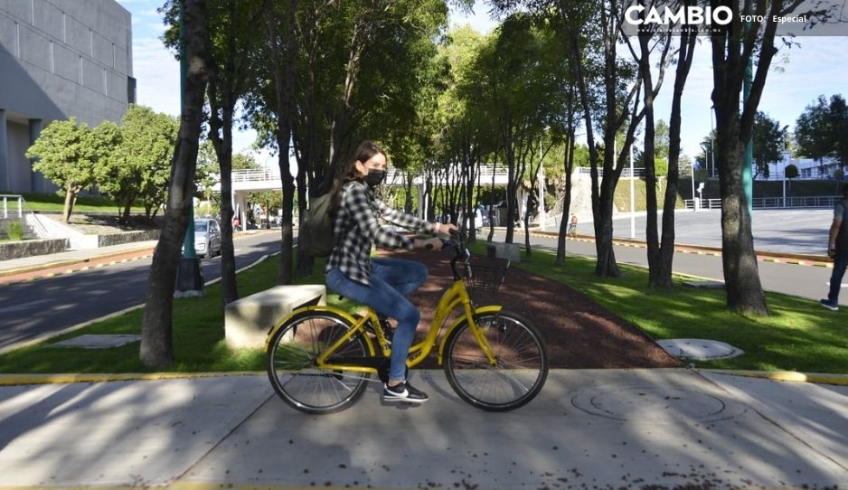 BUAP, segundo lugar nacional en gestión ambiental y prácticas sostenibles