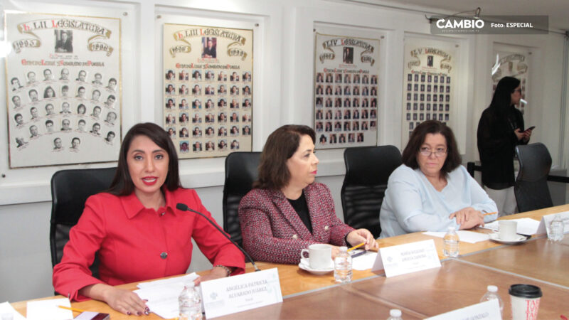 Titular de la Secretaría de Movilidad y Transporte, comparece ante Comisión del Congreso
