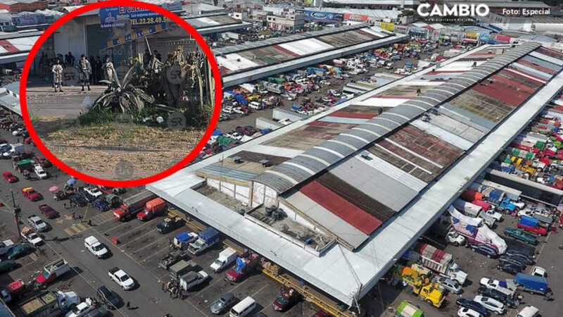 Posible toma clandestina provoca fuerte movilización policíaca en la Central de Abasto