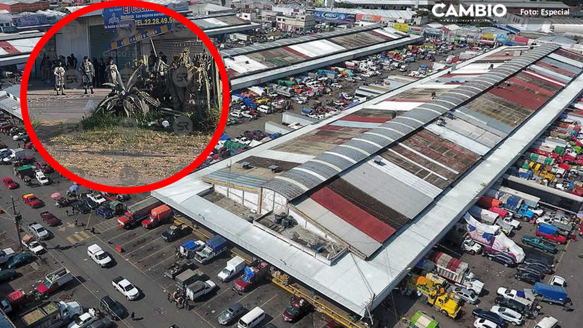 Posible toma clandestina provoca fuerte movilización policíaca en la Central de Abasto