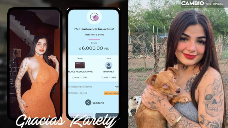 Karely Ruiz respalda a rescatistas de animales en Izúcar de Matamoros