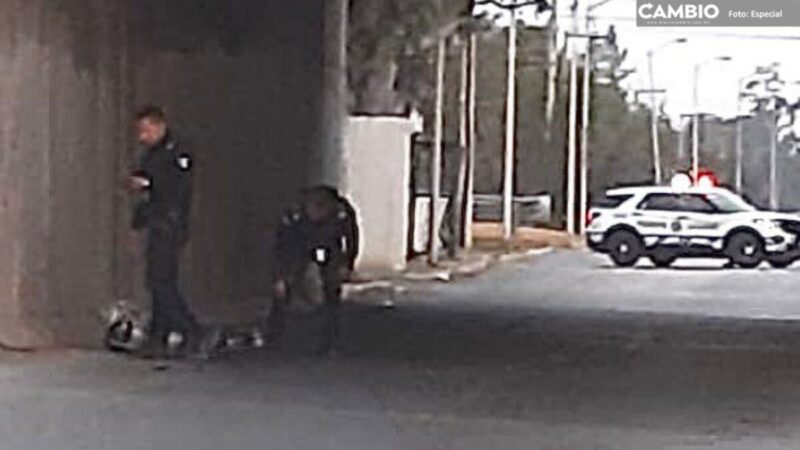 Hallan otro cadáver emplayado; ahora en Xonacatepec