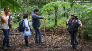 Suspenden 'Ruta del Café' en la Sierra Negra por inseguridad y deterioro de caminos