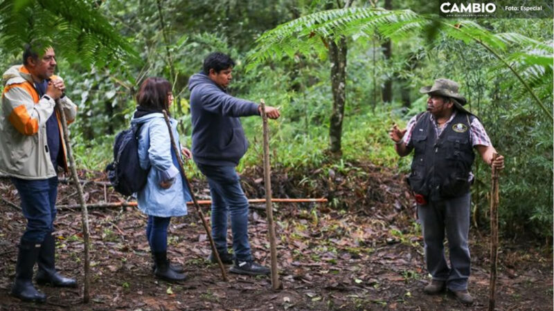 Suspenden 'Ruta del Café' en la Sierra Negra por inseguridad y deterioro de caminos