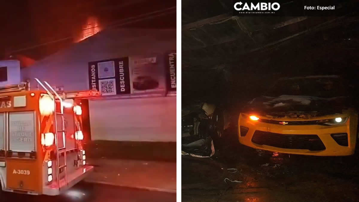 Corvette, motos y más: nueve vehículos calcinados tras incendio en lote de autos de "Grupo Maizero"