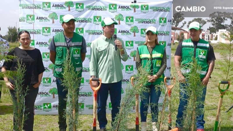 Impulsan la 'Reforestación Verde' plantando más de 300 árboles en Huejotzingo