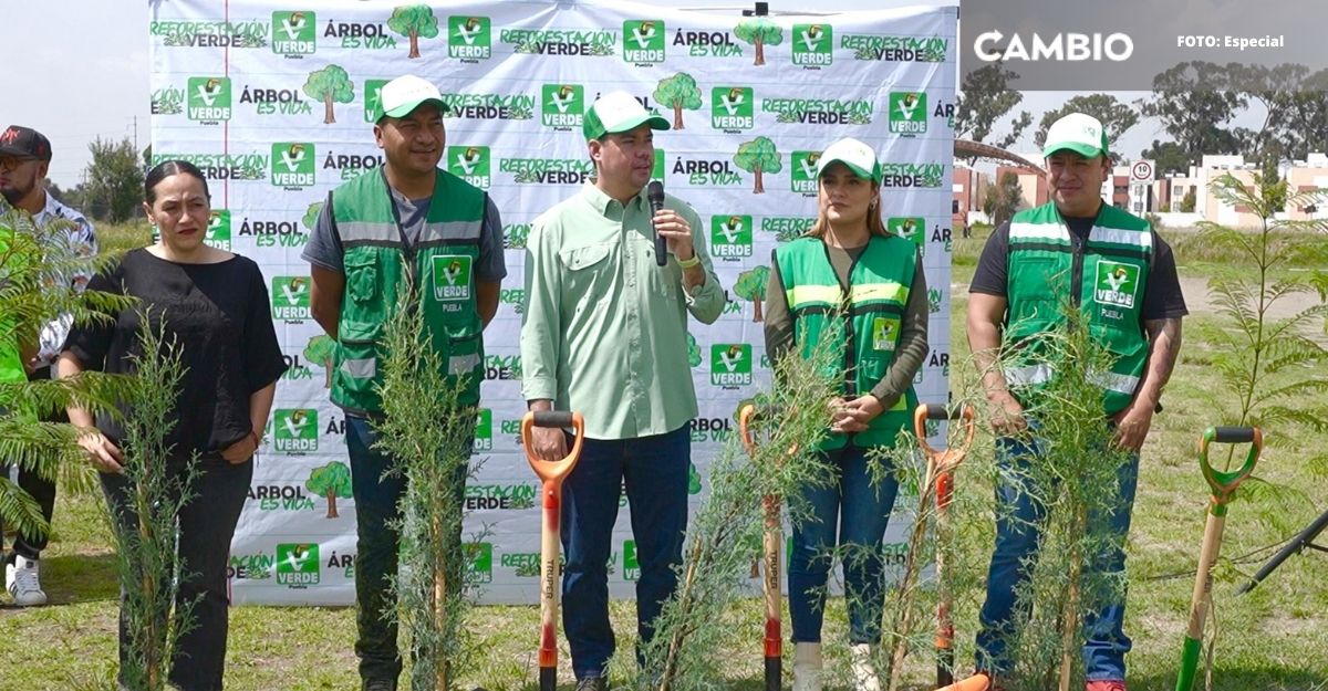 Impulsan la 'Reforestación Verde' plantando más de 300 árboles en Huejotzingo
