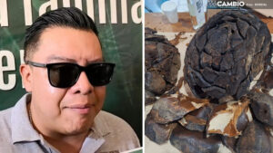 Autoridades buscan preservar el mezcal en Caltepec con nuevos cultivos de agave