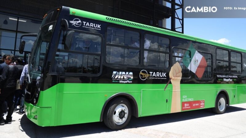 Puebla recibirá 20 autobuses eléctricos “Taruk” que conectará sus principales zonas turísticas