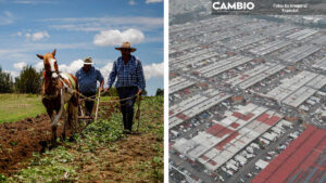 Productores poblanos podrán comercializar productos del campo en la Central de Abasto de la CDMX